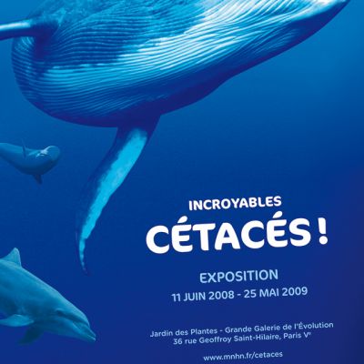 CETACES 01