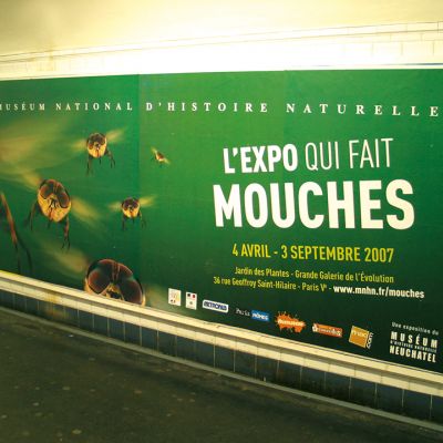 MOUCHES 02